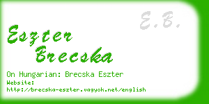 eszter brecska business card